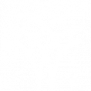Association of Mental Health Providers